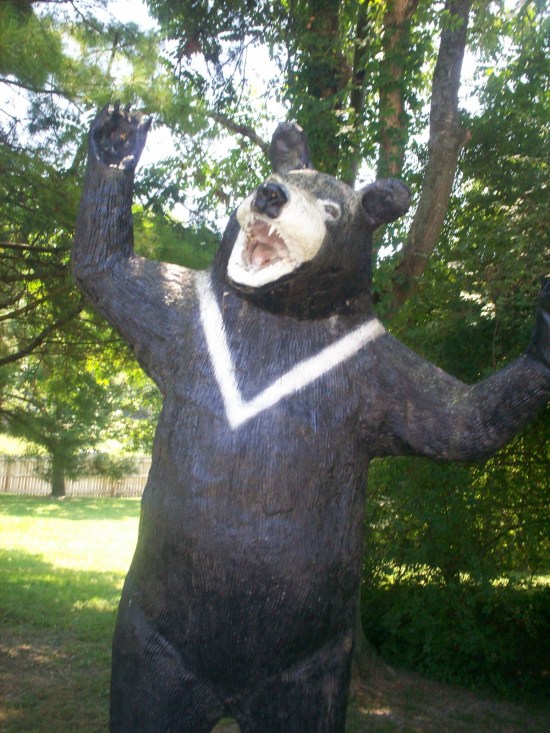bear statue!