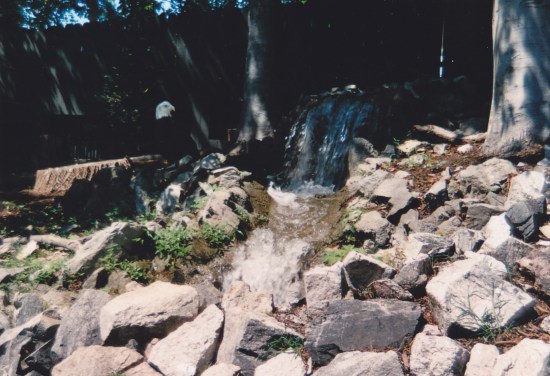 Eagle + waterfall!