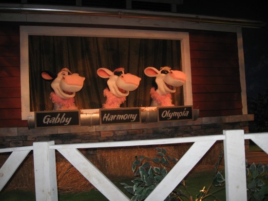 Singing Cows!