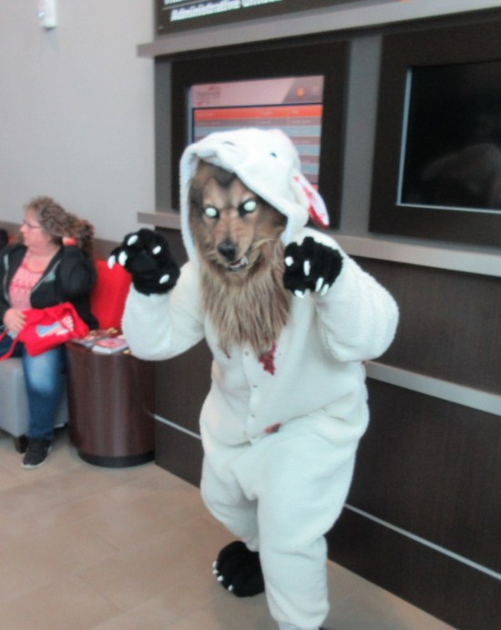 wolf in sheep's clothing!