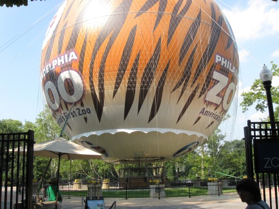 Philadelphia Zoo Balloon!
