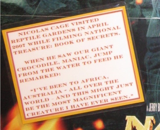 Nicolas Cage review!