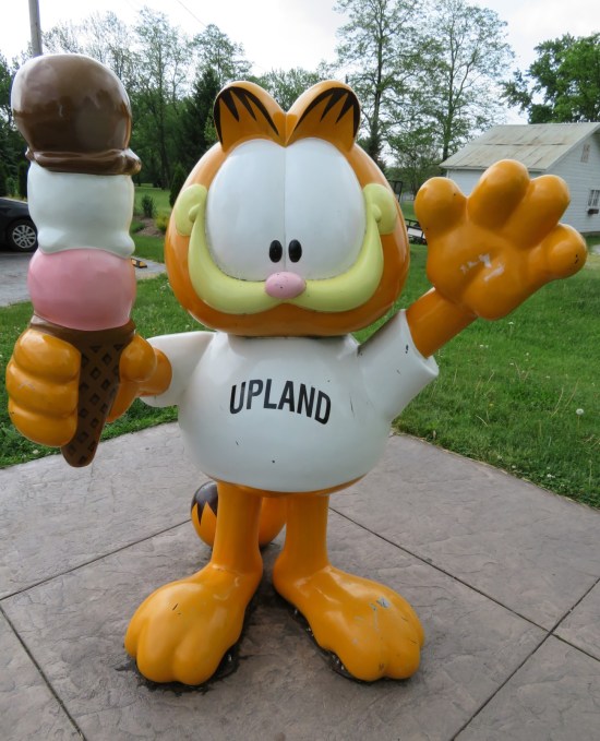 Garfield Upland!