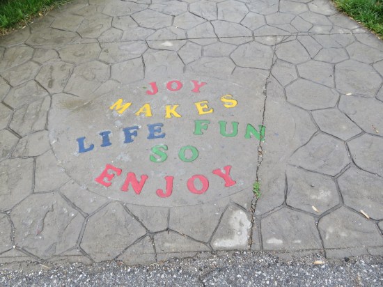 Joy Make Life Fun!