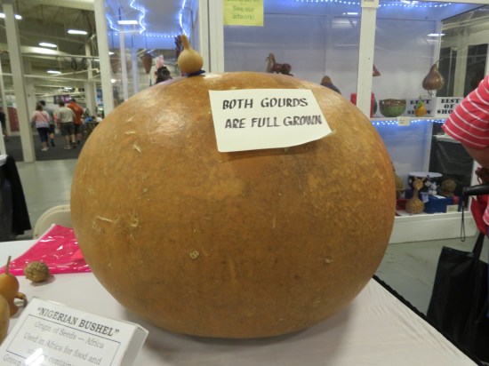 giant gourd!