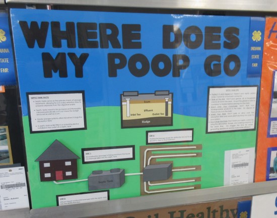Where Does My Poop Go?