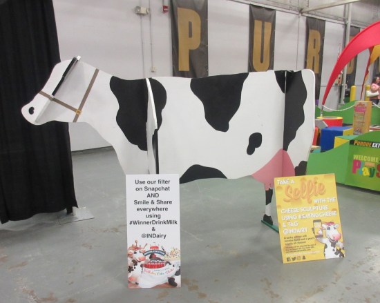 wood cow selfie station!