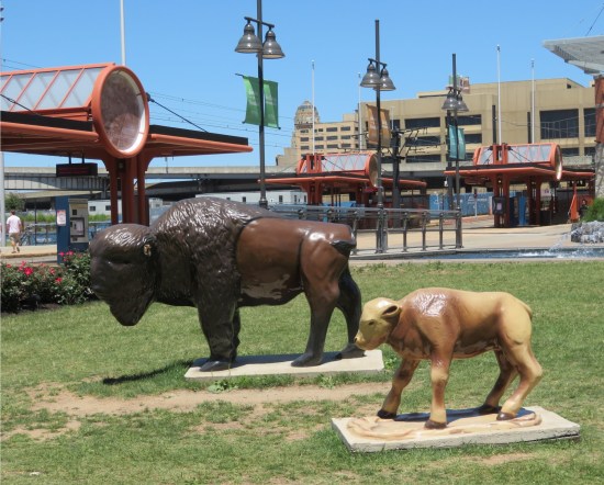 buffalo statues!