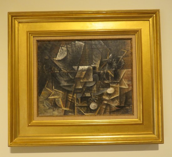 Pigeon in Nest with Eggs!