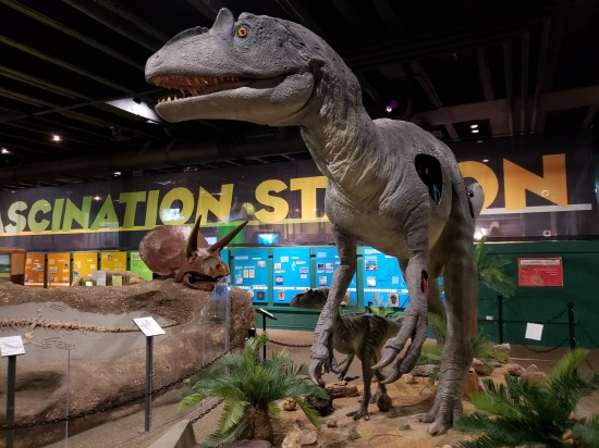 discover world dinosaurs!