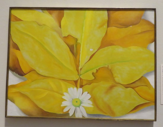 Yellow Hickory Leaves with Daisy!