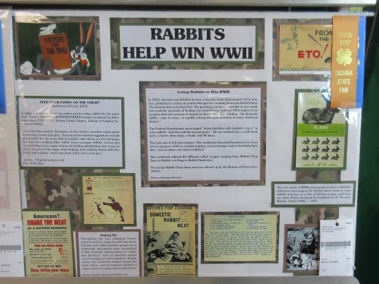 Rabbits Help Win WWII!