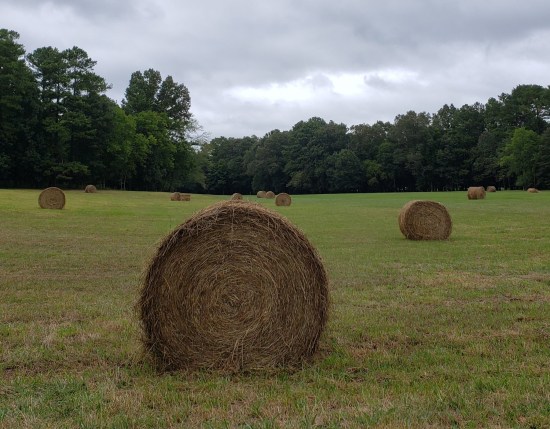 hay bales!