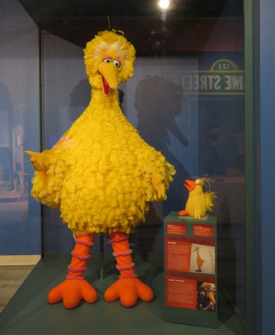 Big Bird and Little Bird!