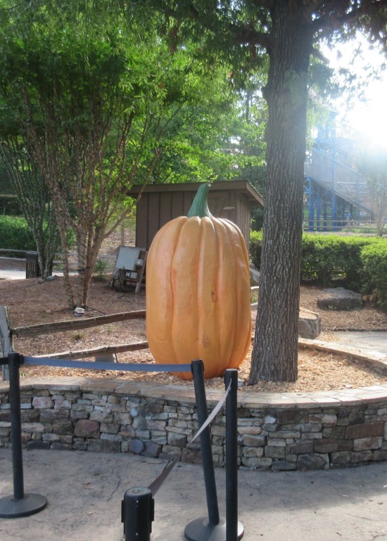 Stone Mountain pumpkin!