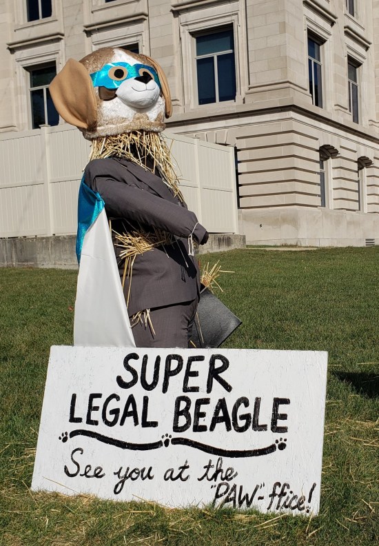 Super Legal Beagle!