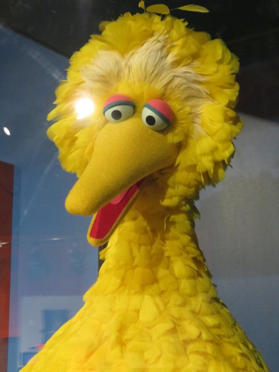 Big Bird Close-Up!