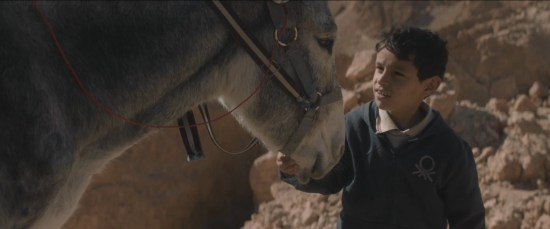 Nefta Football Club!