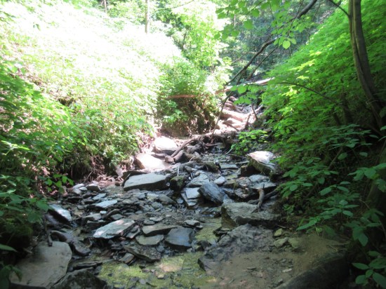 creek uphill!