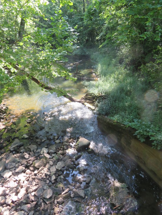 rocks in creek!
