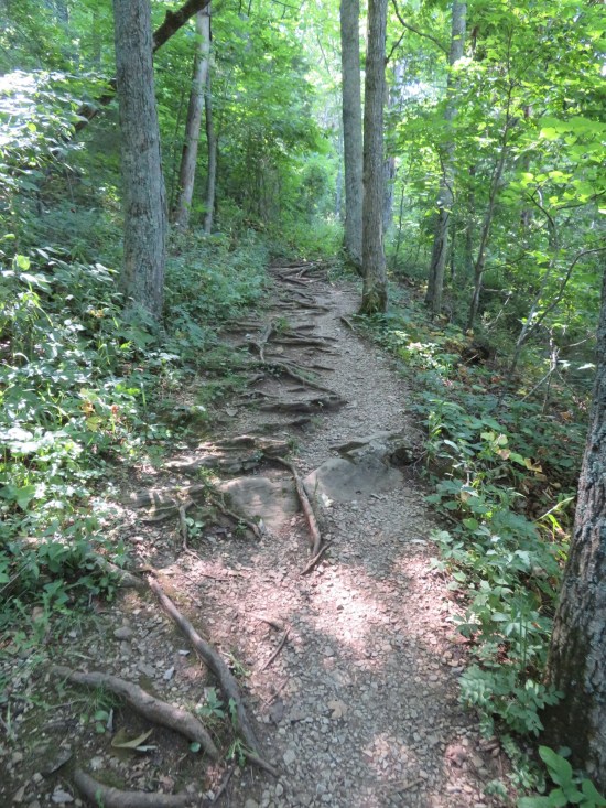 trail steps upward.