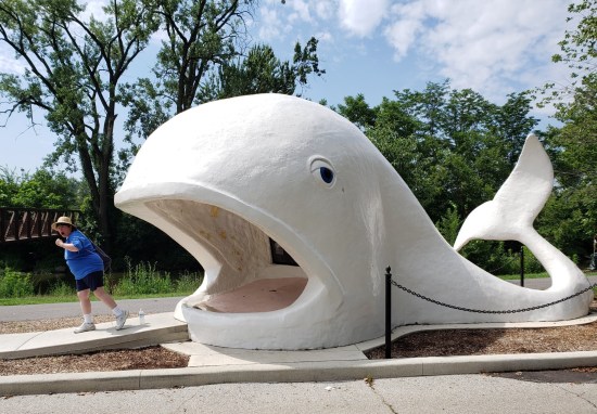 Anne vs. Willie the Whale!