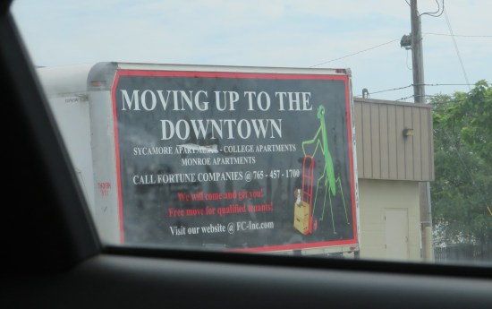 KokoMantis billboard!