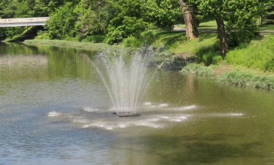 Wildcat Creek fountain!