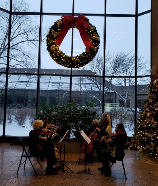Christmas String Quartet!