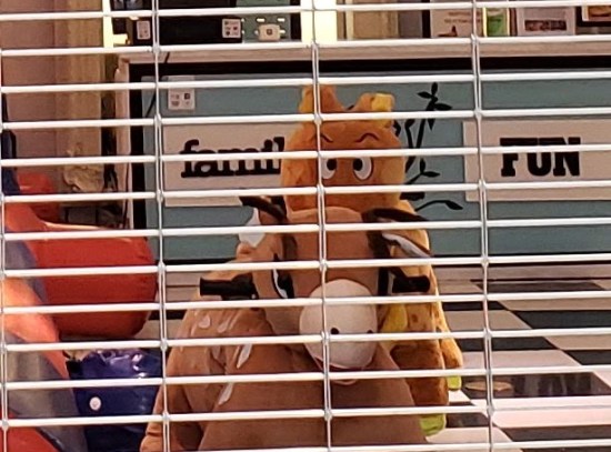 Family Fun Super Extra Closed.