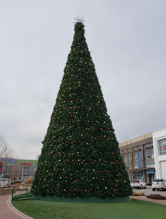 Metropolis Christmas Tree!