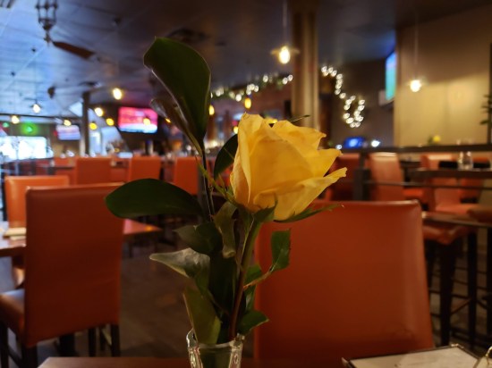 Yellow rose in a restaurant vase.