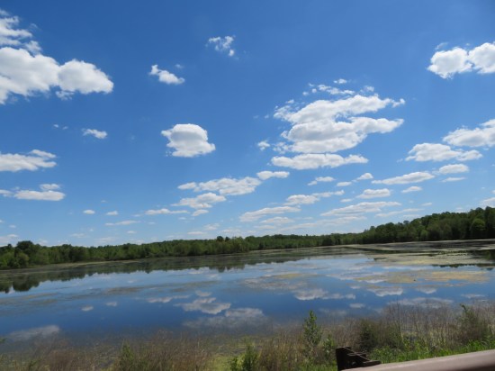 Muscatatuck National Wlidlife Refuge.