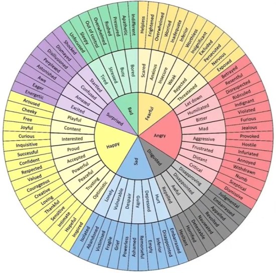 Robert Plutchik's emotions wheel.