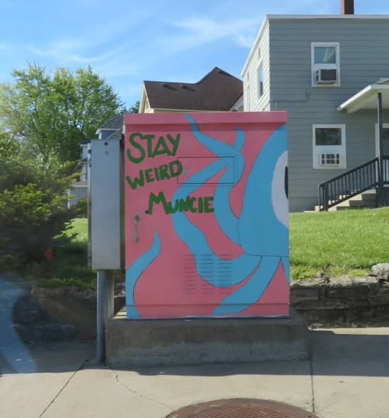 Stay Weird Muncie! light box.