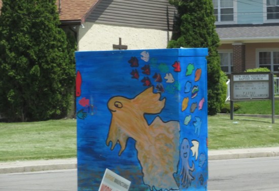 underwater electrical box!