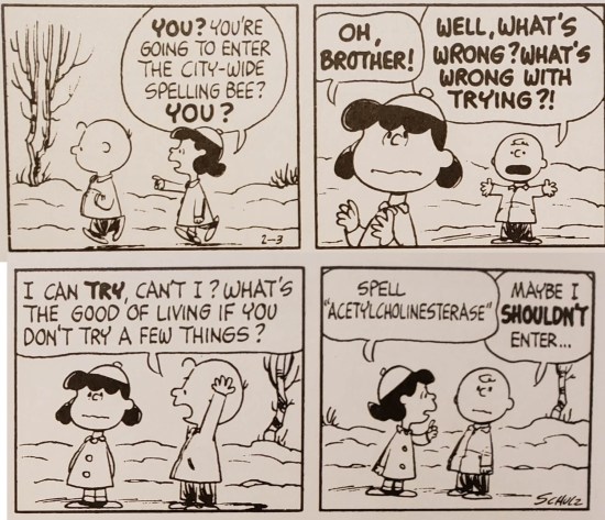 Charlie Brown in the spelling bee!