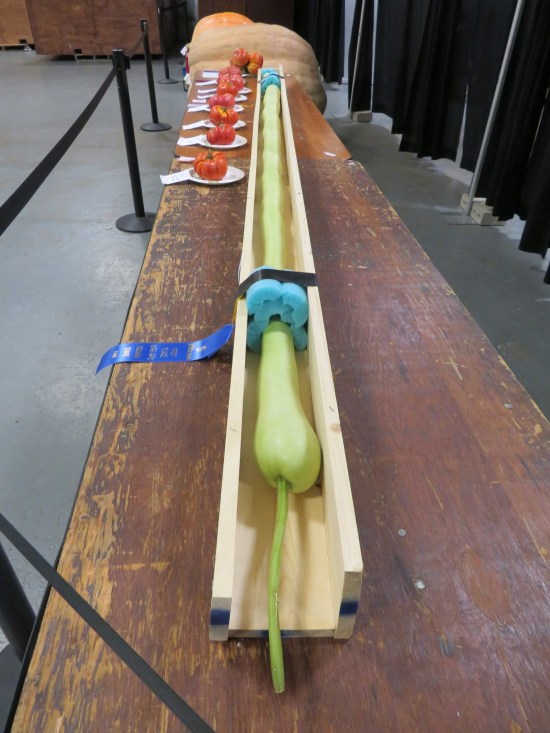 128-inch gourd!