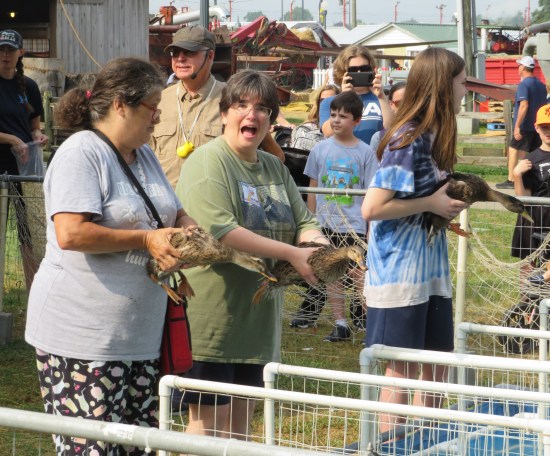 My wife gives a duck.