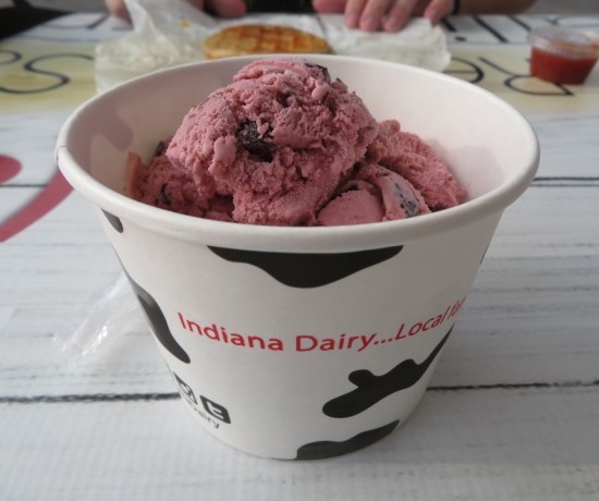 Cherry Chocolate Funk ice cream!