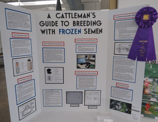 Frozen Semen poster!