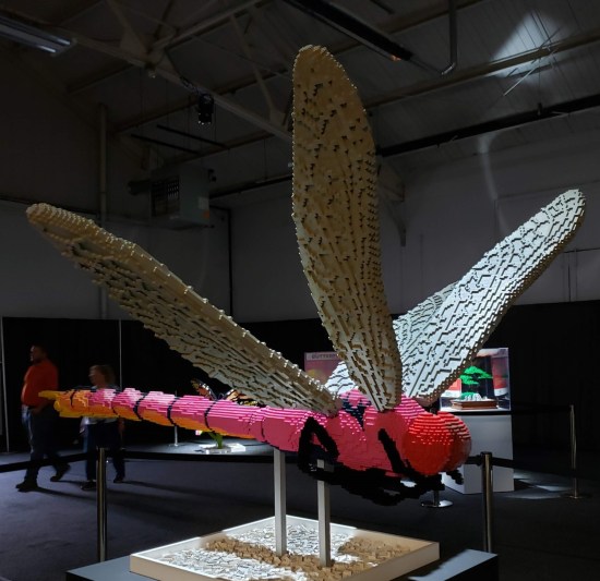 Lego dragonfly!