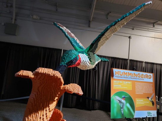 Lego hummingbird!