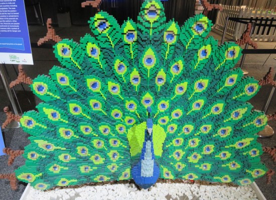 Lego peacock!