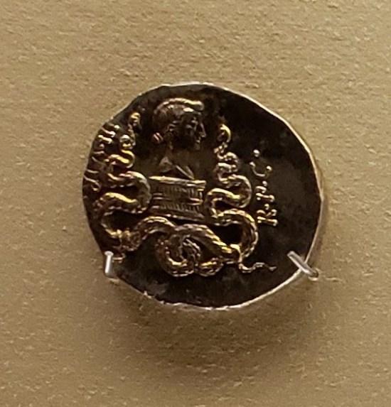 Octavia cistophorus!