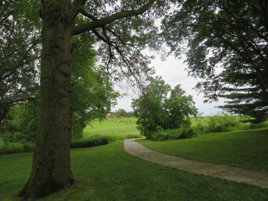 Hoover park walking path!