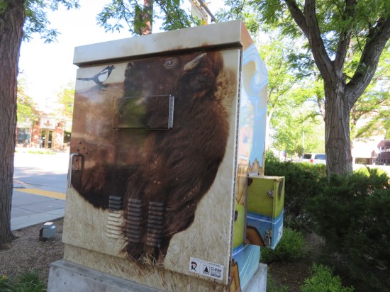 bison utility box!