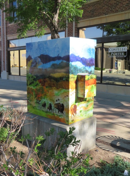 bison trail utility box!