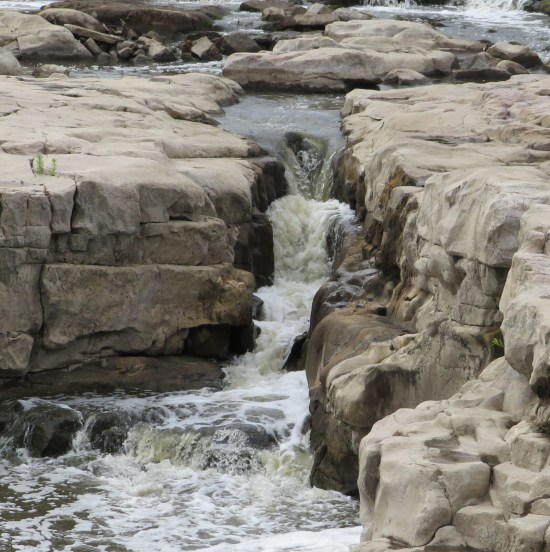 tiny Sioux Falls closeup!