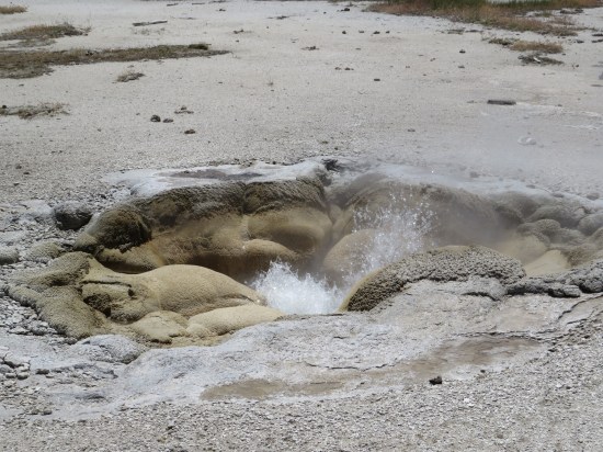 Biscuit Basin bubbly pit!